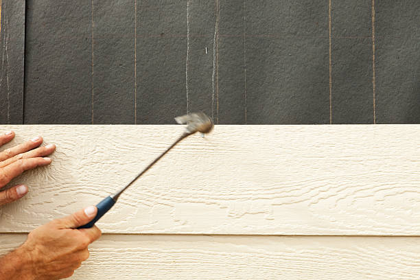 Best Siding Removal and Disposal  in Oak Harbor, OH